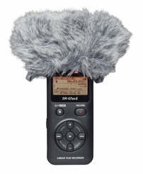 Tascam WS-11